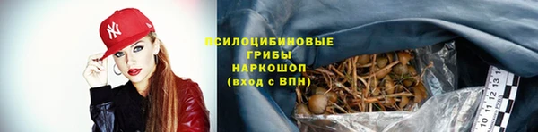 не бодяженный Красноперекопск