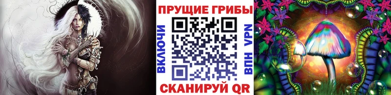Псилоцибиновые грибы ЛСД  продажа наркотиков  мориарти клад  Артём  мега ONION 
