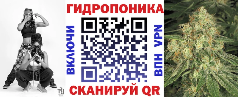 дарнет шоп  Артём  omg   Бошки Шишки VHQ 